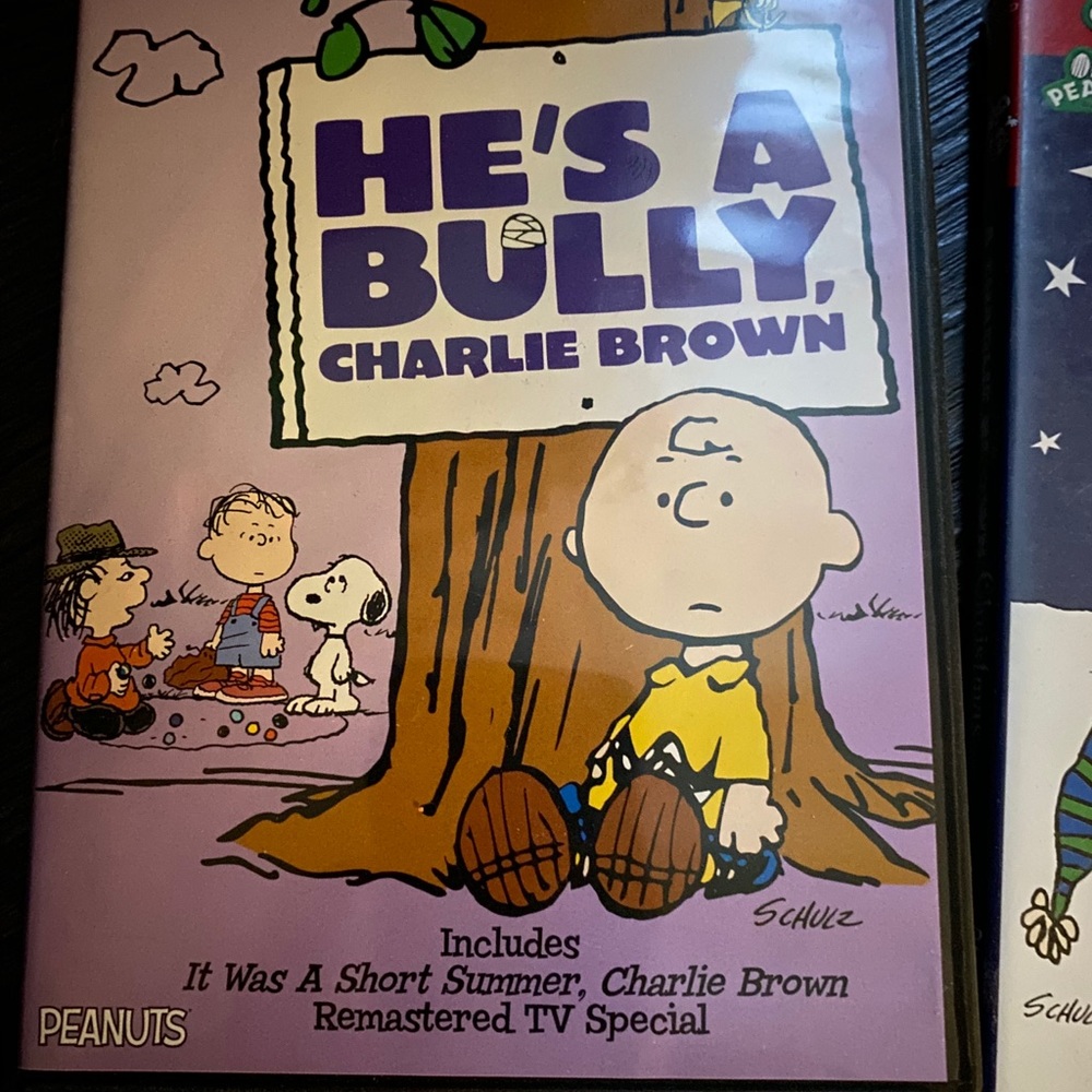 He’s a Bully Charlie Brown DVD